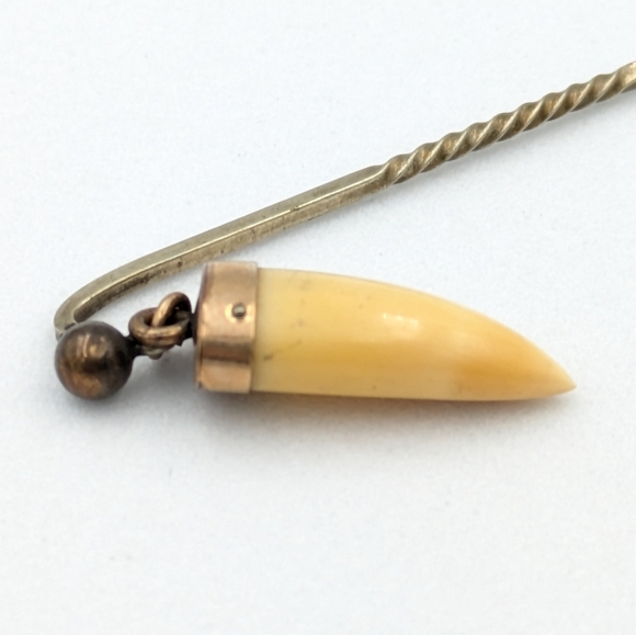 Antique Victorian 1800s British Raj Hunting Trophy Tooth Stick Pin Brooch - Picture 9 of 10
